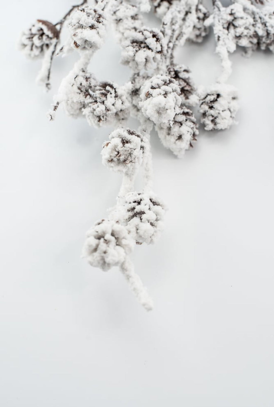 Flocked Pinecone Spray - Greenery MarketWreath attachments86019SNOW