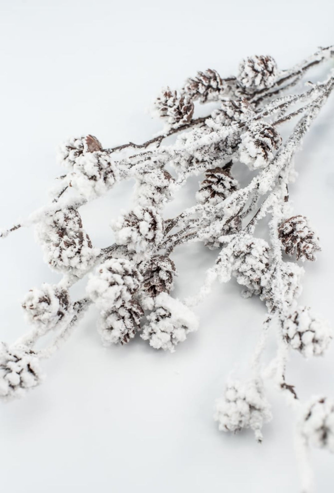 Flocked Pinecone Spray - Greenery MarketWreath attachments86019SNOW