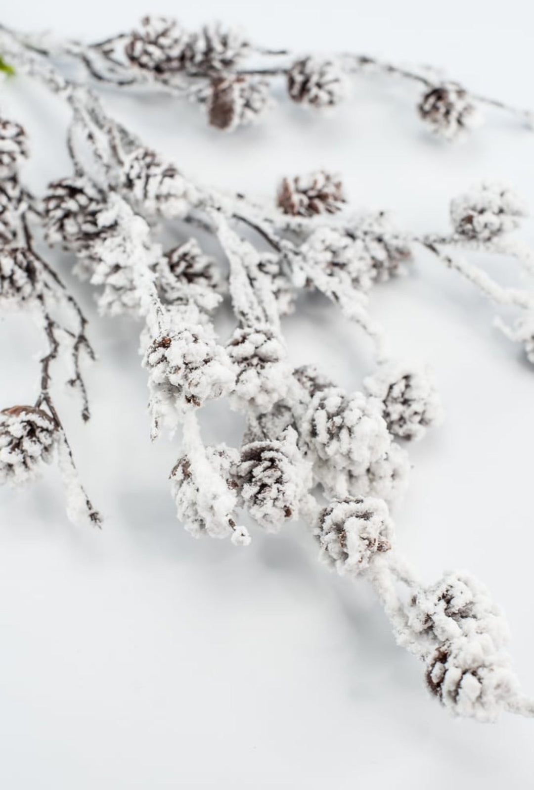 Flocked Pinecone Spray - Greenery MarketWreath attachments86019SNOW
