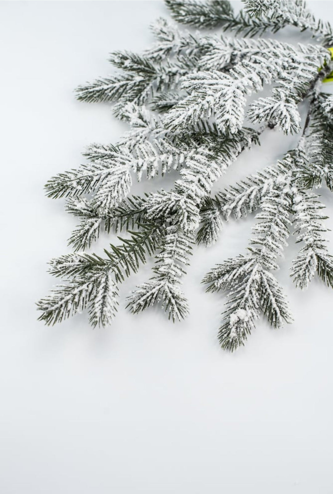 Flocked Spruce Spray - Greenery MarketWreath attachments86017SNOW