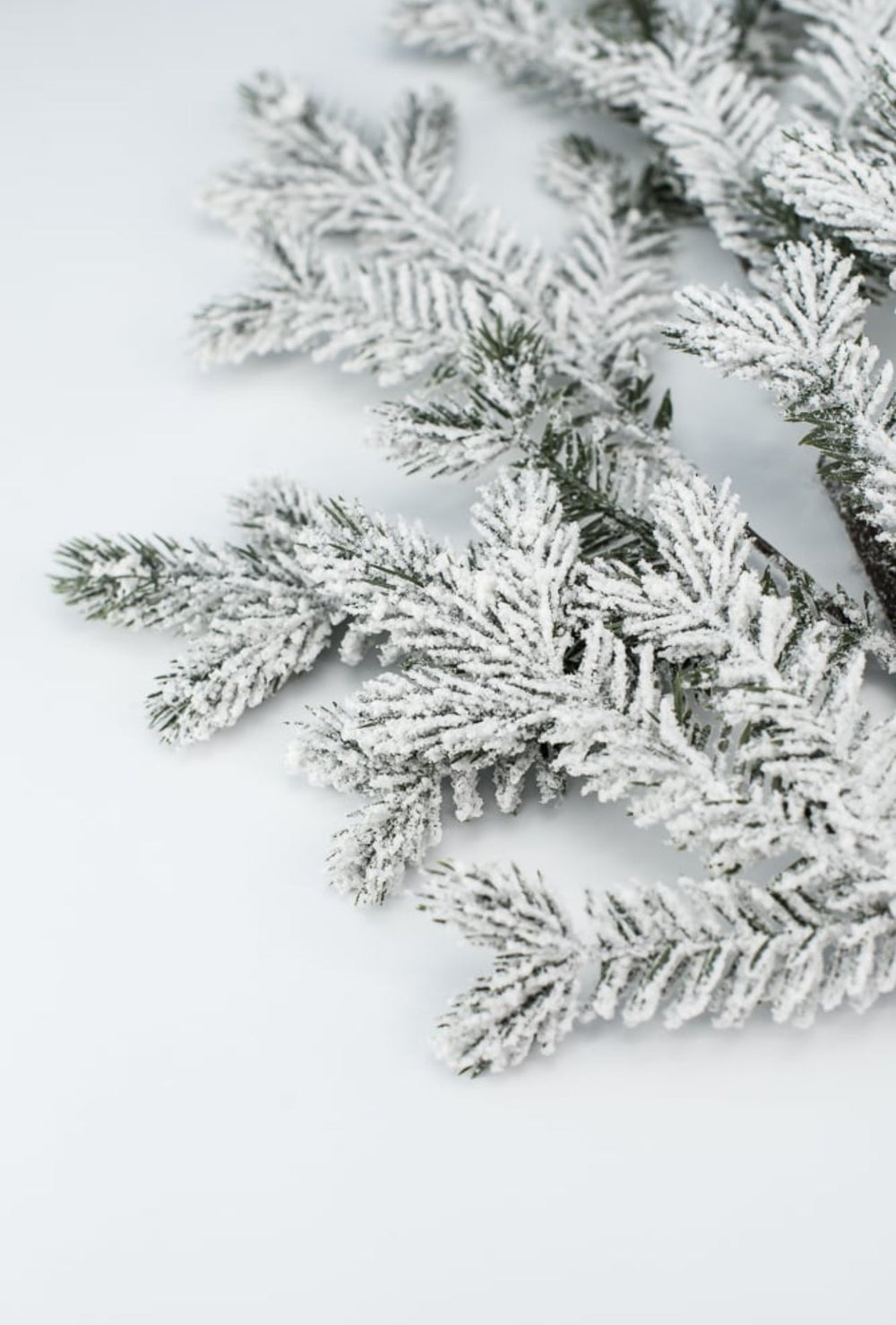 Flocked Spruce Spray - Greenery MarketWreath attachments86017SNOW