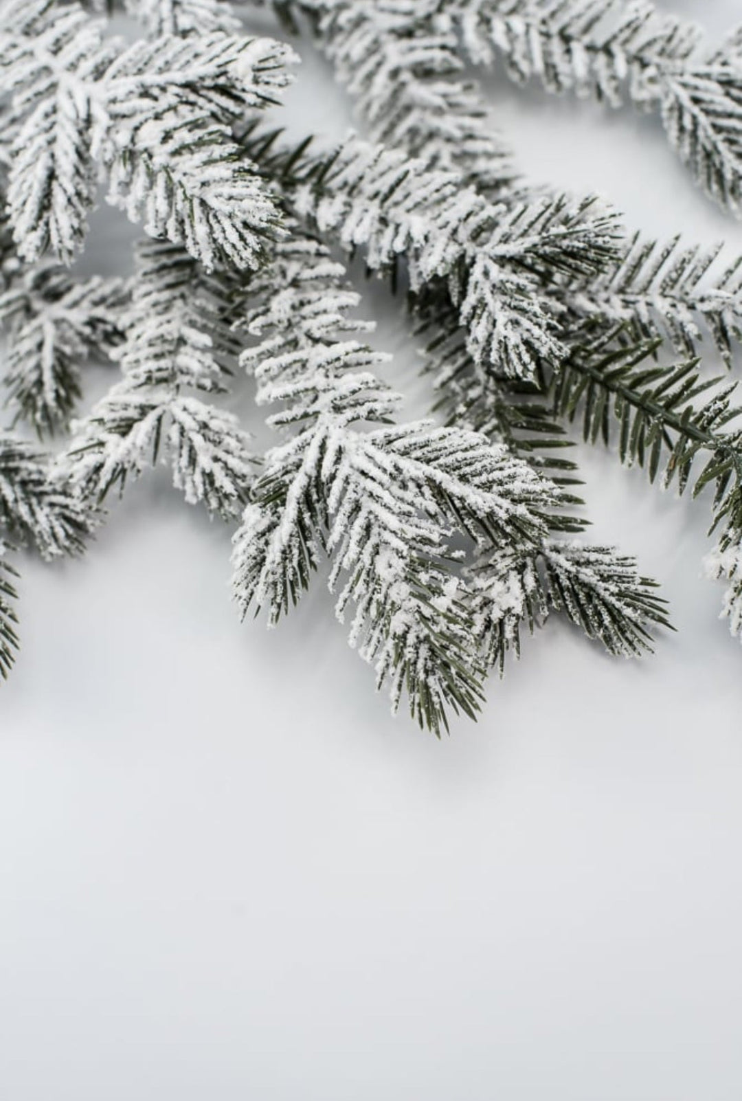 Flocked Spruce Spray - Greenery MarketWreath attachments86017SNOW