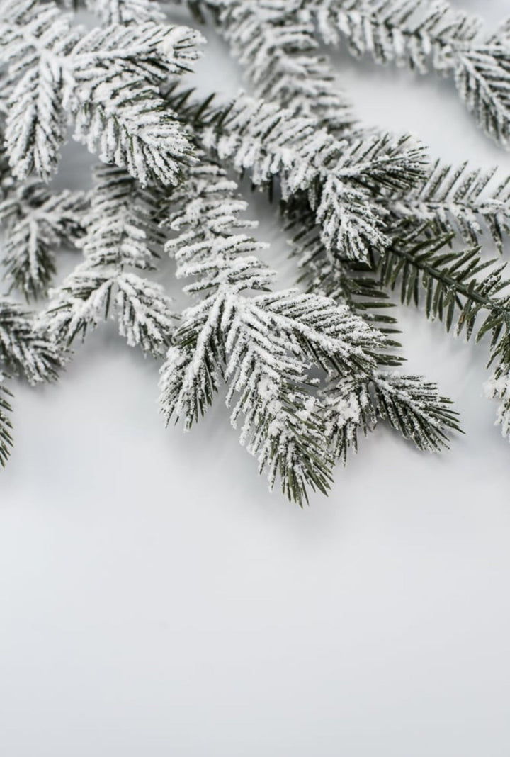 Flocked Spruce Spray - Greenery MarketWreath attachments86017SNOW