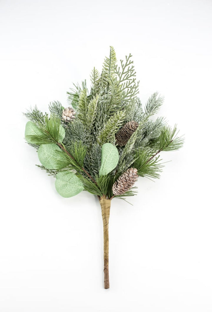 Forrest glory pine, eucalyptus, and cone bush - Greenery MarketXBR7254