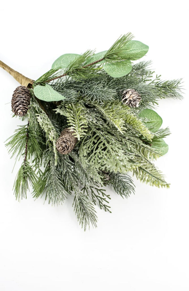 Forrest glory pine, eucalyptus, and cone bush - Greenery MarketXBR7254