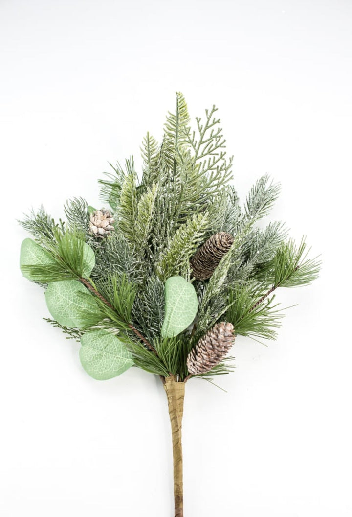 Forrest glory pine, eucalyptus, and cone bush - Greenery MarketXBR7254