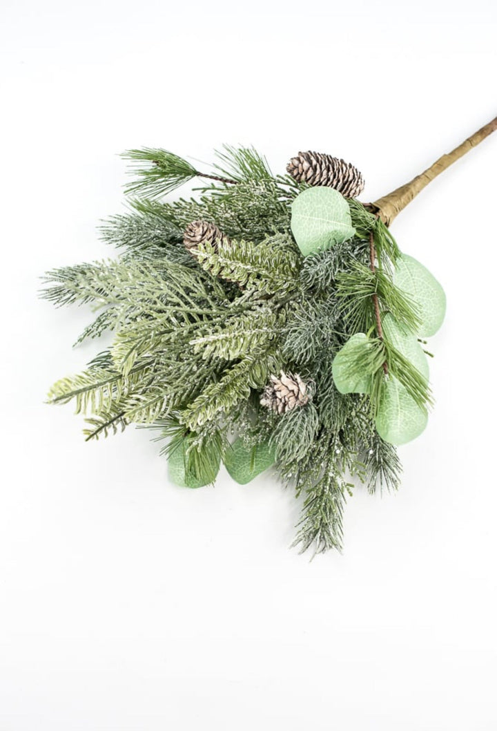 Forrest glory pine, eucalyptus, and cone bush - Greenery MarketXBR7254