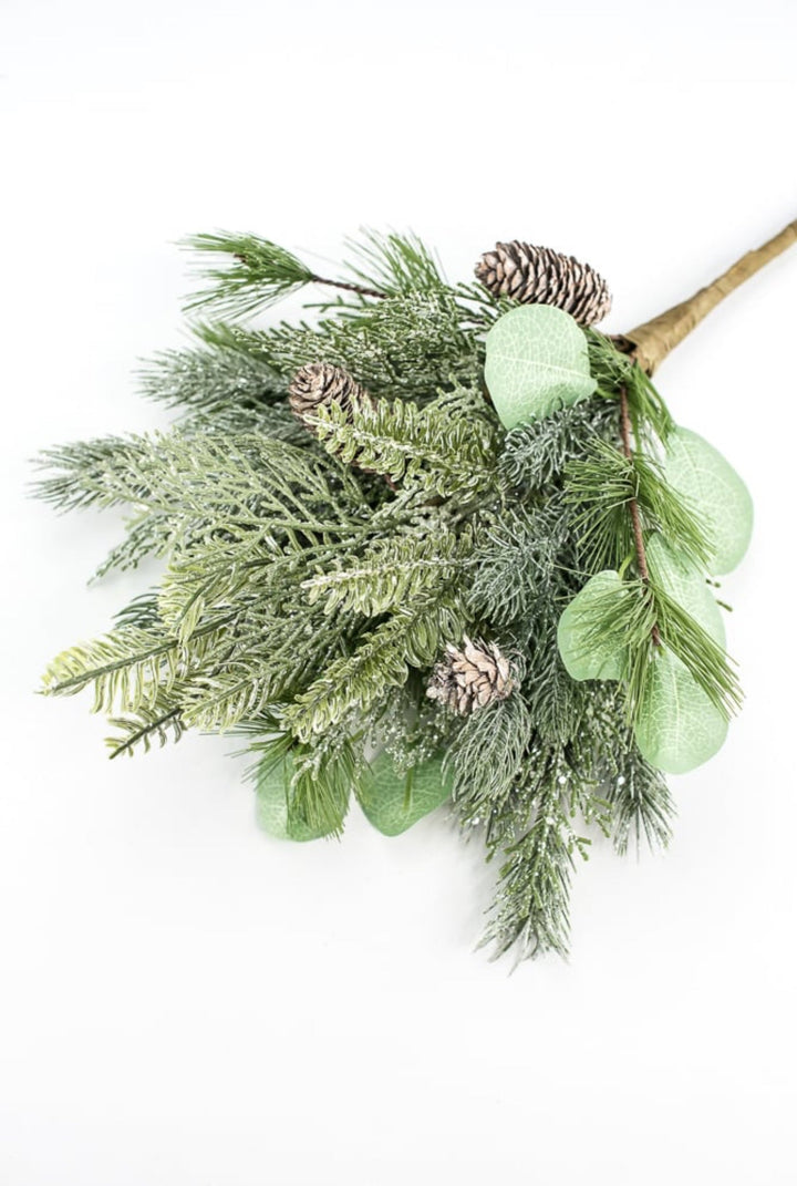 Forrest glory pine, eucalyptus, and cone bush - Greenery MarketXBR7254