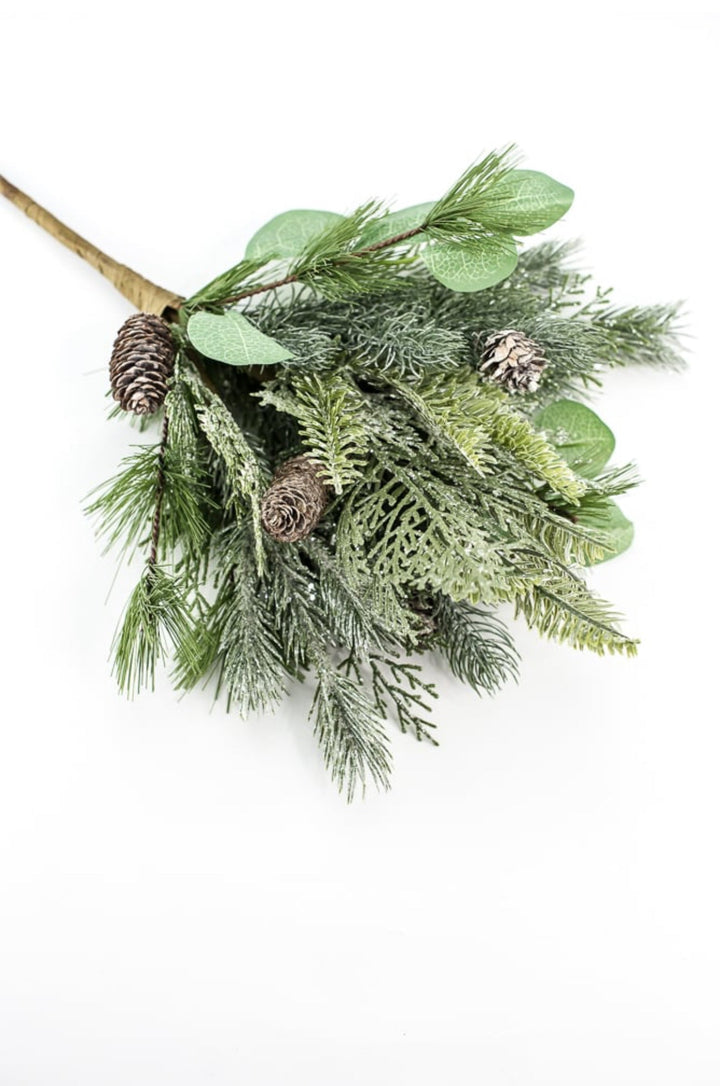 Forrest glory pine, eucalyptus, and cone bush - Greenery MarketXBR7254