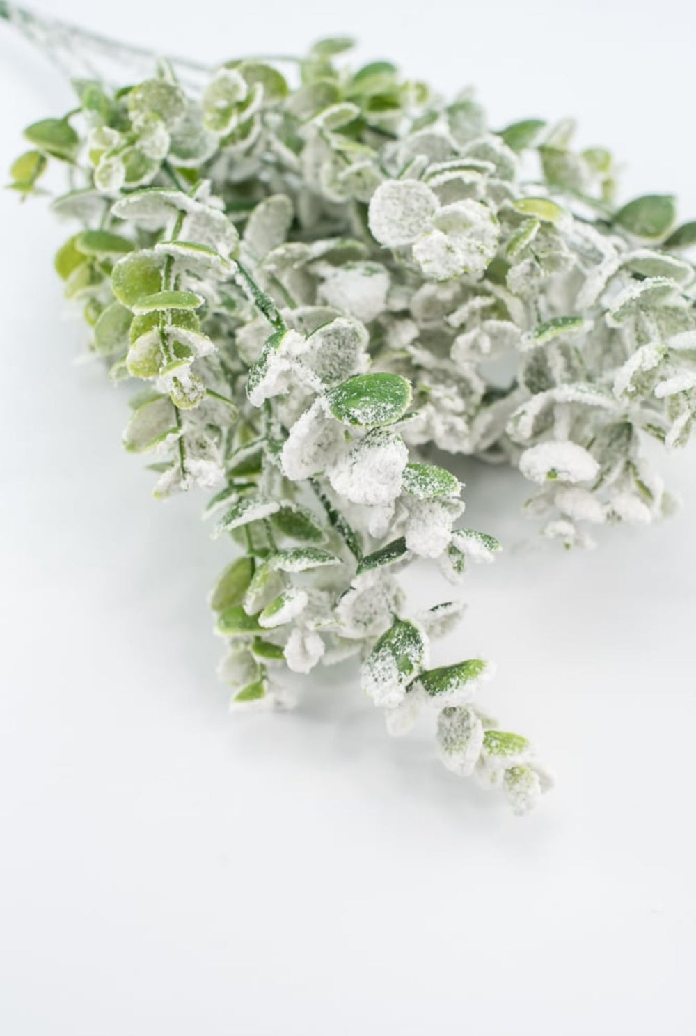 Frosted Eucalyptus bush - Greenery MarketWreath attachments85001SNOW