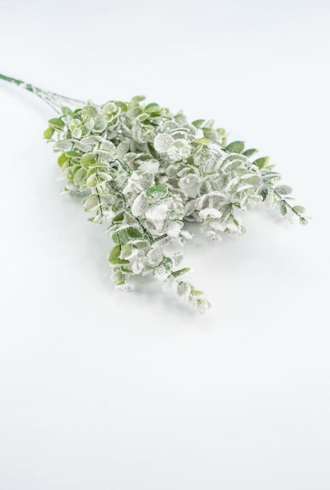 Frosted Eucalyptus bush - Greenery MarketWreath attachments85001SNOW