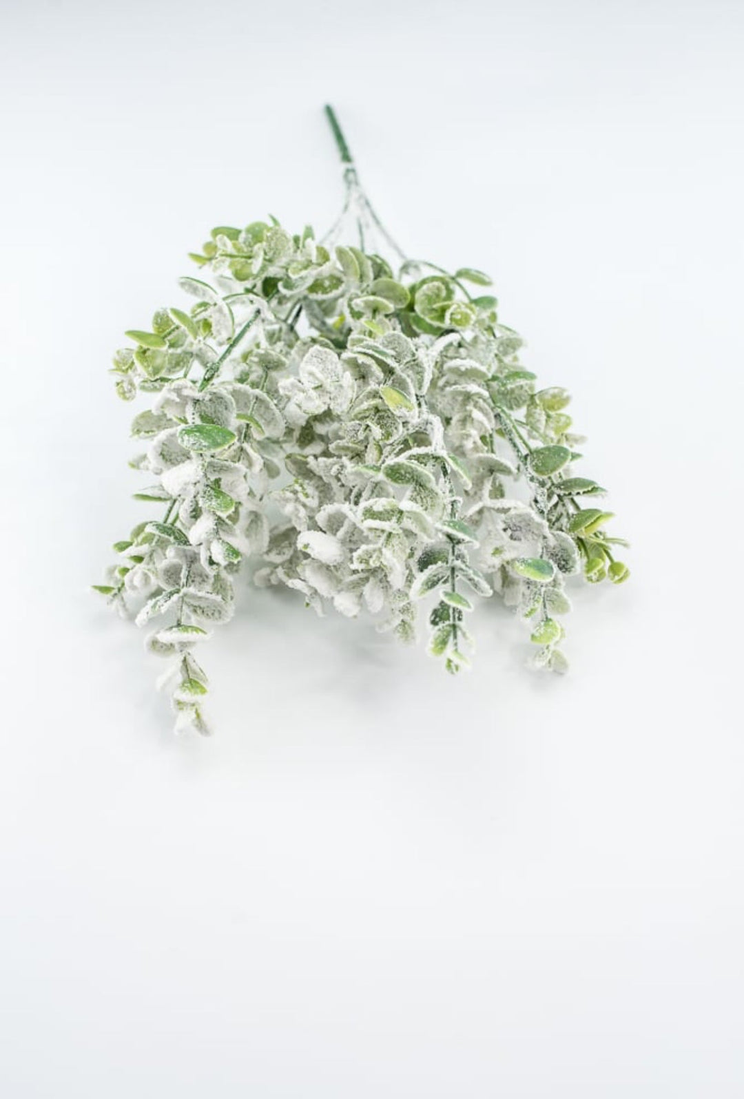 Frosted Eucalyptus bush - Greenery MarketWreath attachments85001SNOW