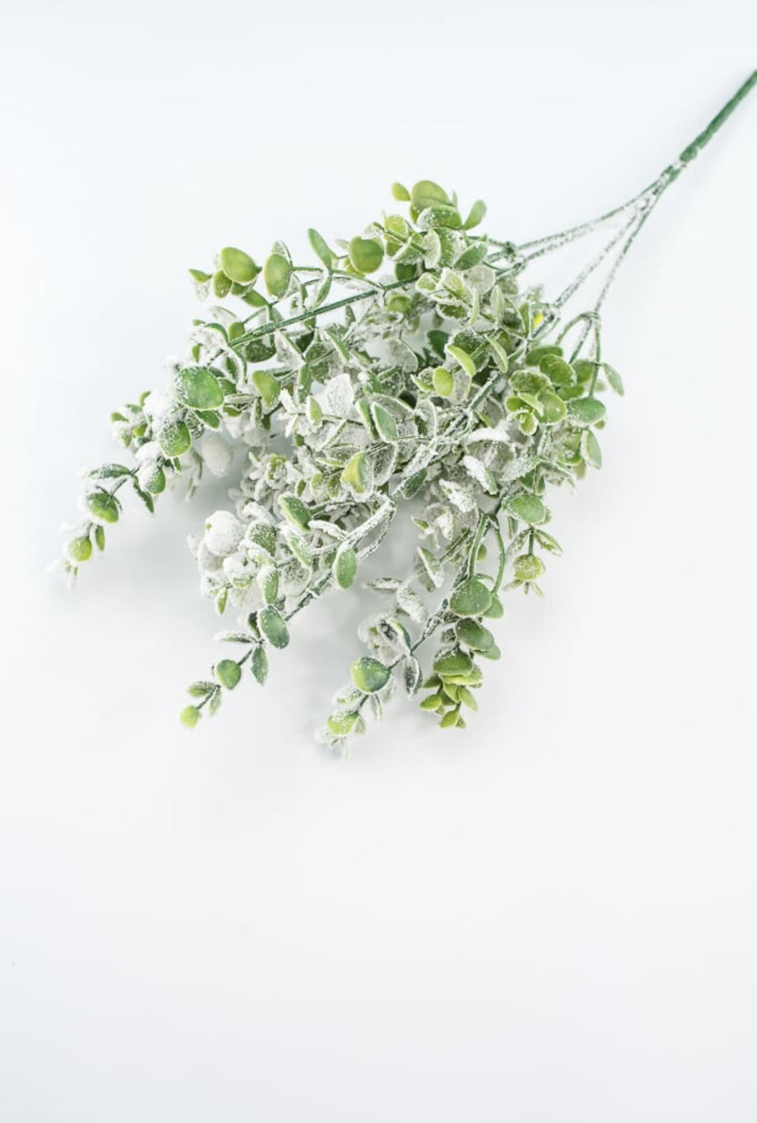 Frosted Eucalyptus bush - Greenery MarketWreath attachments85001SNOW