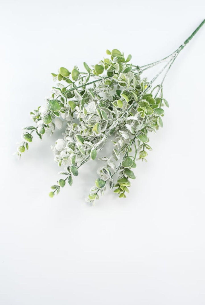 Frosted Eucalyptus bush - Greenery MarketWreath attachments85001SNOW