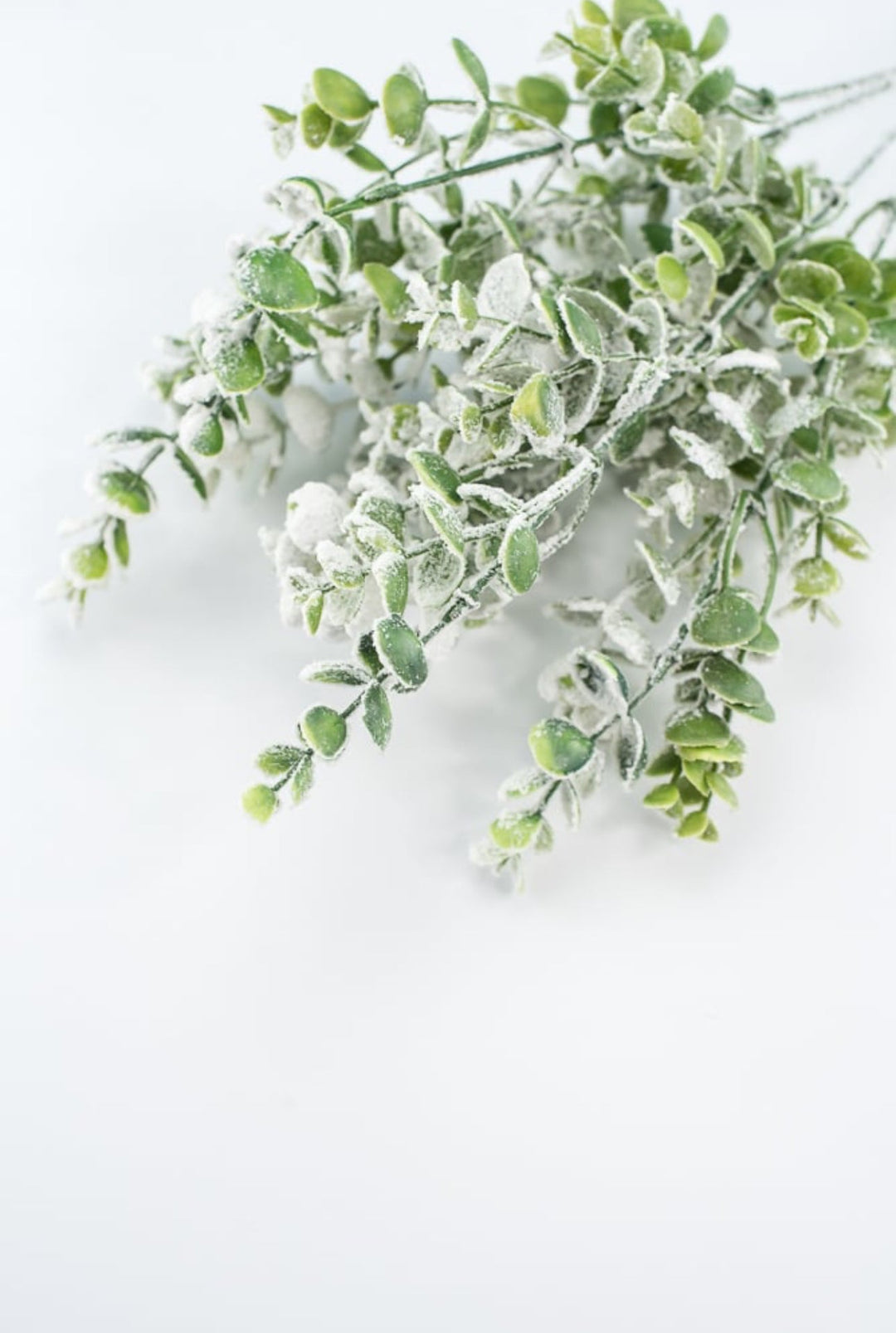 Frosted Eucalyptus bush - Greenery MarketWreath attachments85001SNOW