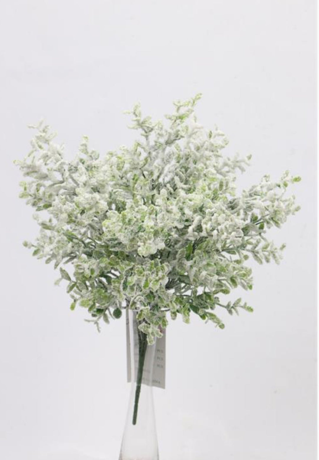 Frosted Thyme Bush - 15" - Greenery MarketX1952FROSTED