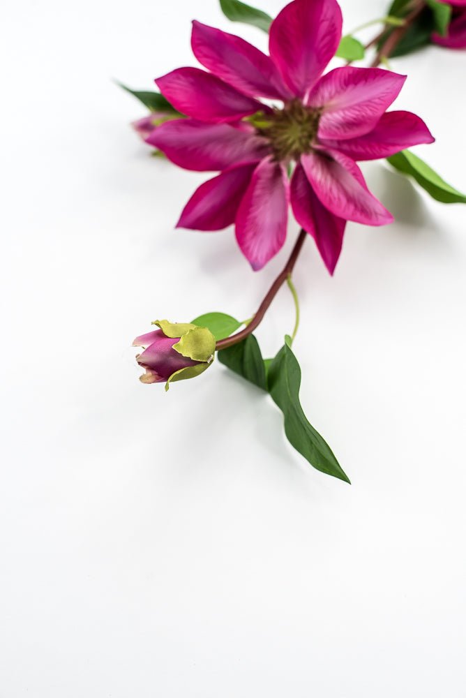 Fuchsia Natural Touch Clematis Spray - Greenery Market210210
