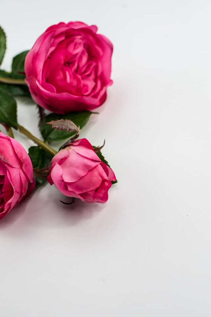 Fuchsia pink, real touch spray rose - Greenery Market6161 - FU