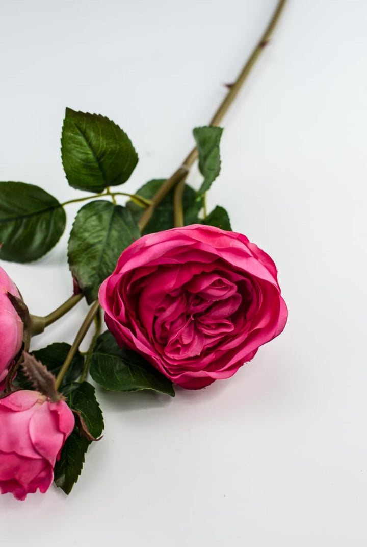 Fuchsia pink, real touch spray rose - Greenery Market6161 - FU