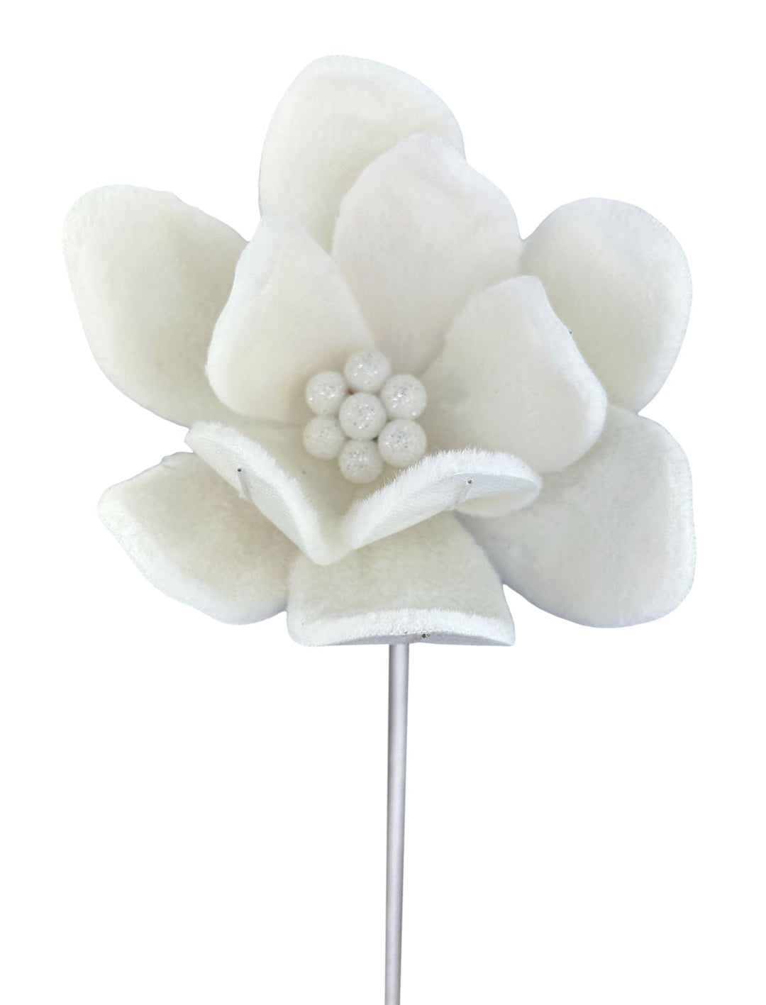 Furry Magnolia Stem - GM Exclusive - Greenery MarketGM332409