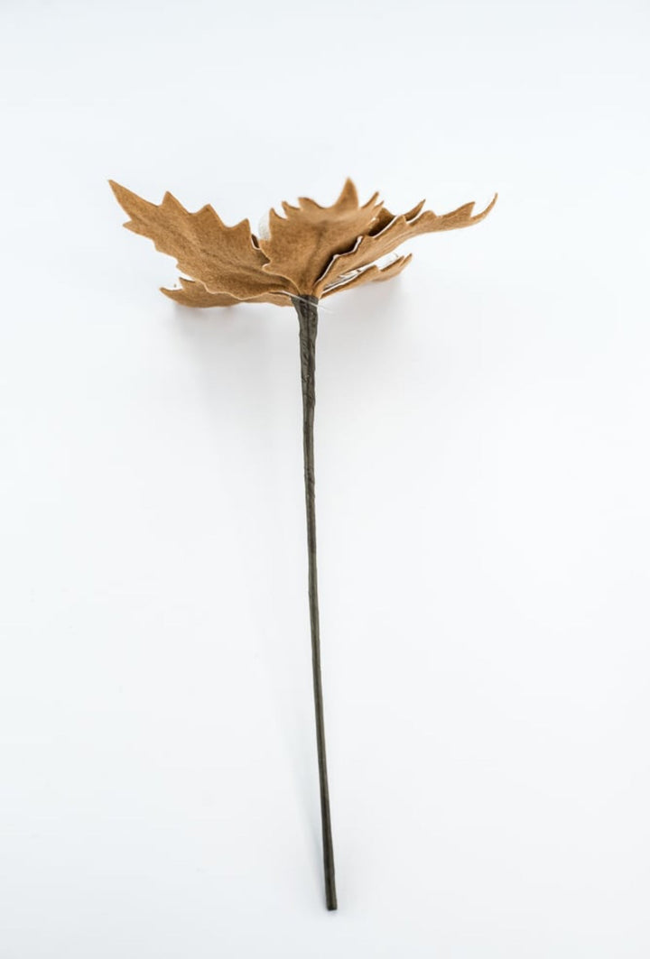 Gingerbread poinsettia stem with white berries - Greenery MarketXS3954