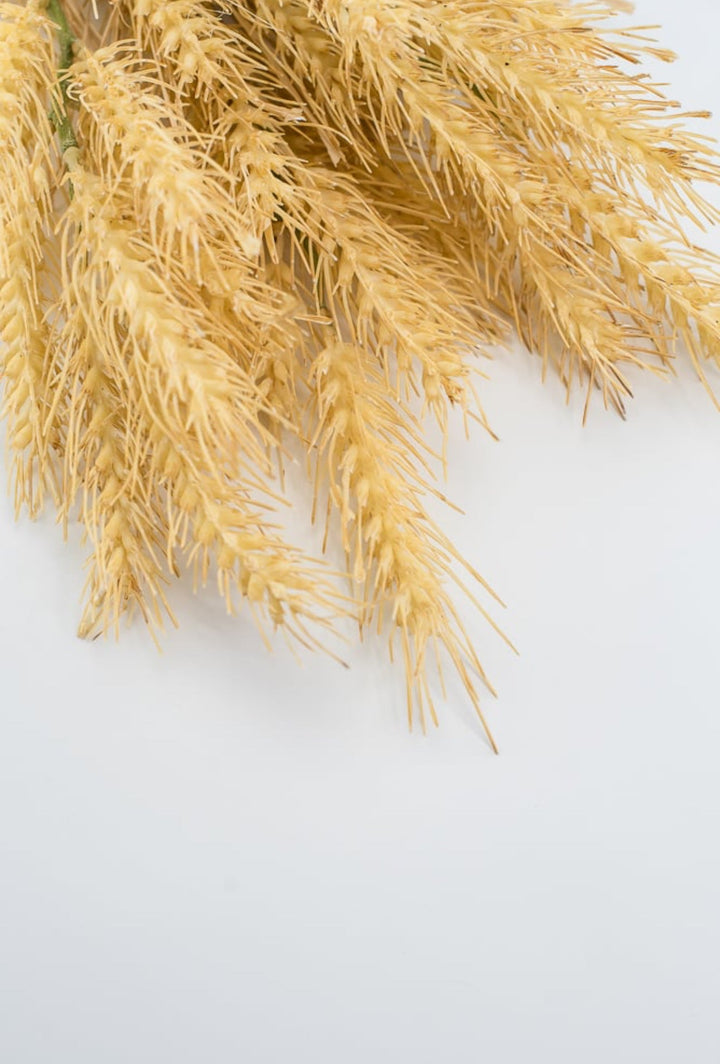 Golden wheat grass bush - Greenery MarketArtificial Flora27901