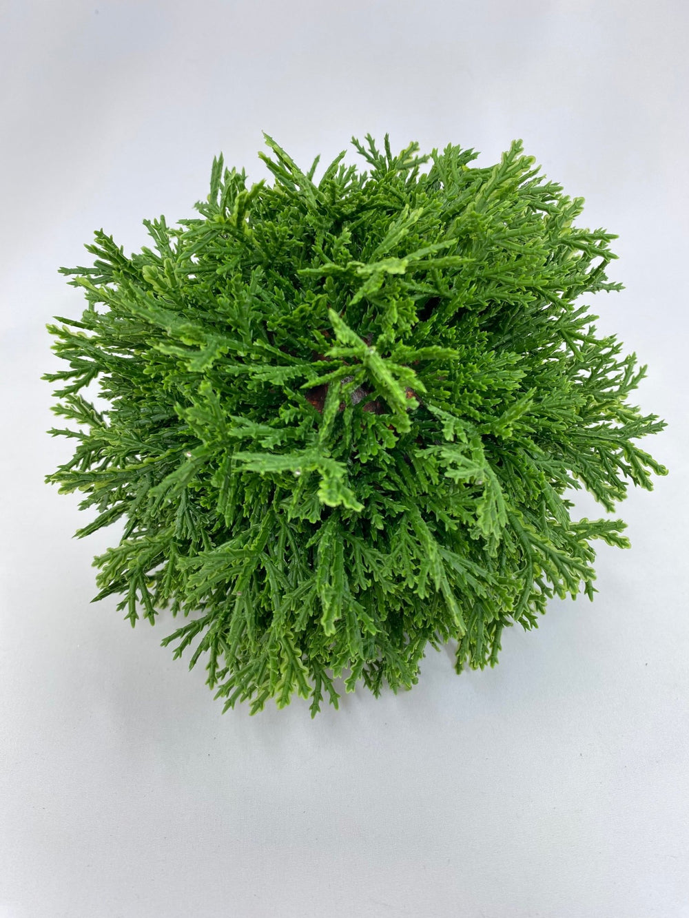 Green Cedar Orb Ball - 7" - Greenery Market2829138GR