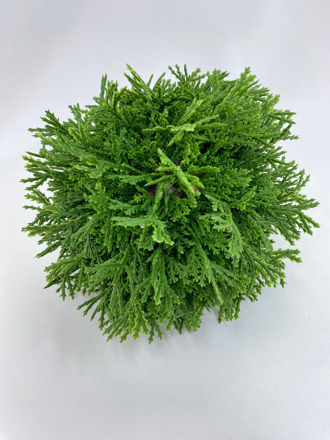 Green Cedar Orb Ball - 7" - Greenery Market2829138GR