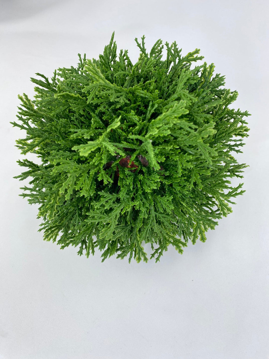 Green Cedar Orb Ball - 7" - Greenery Market2829138GR