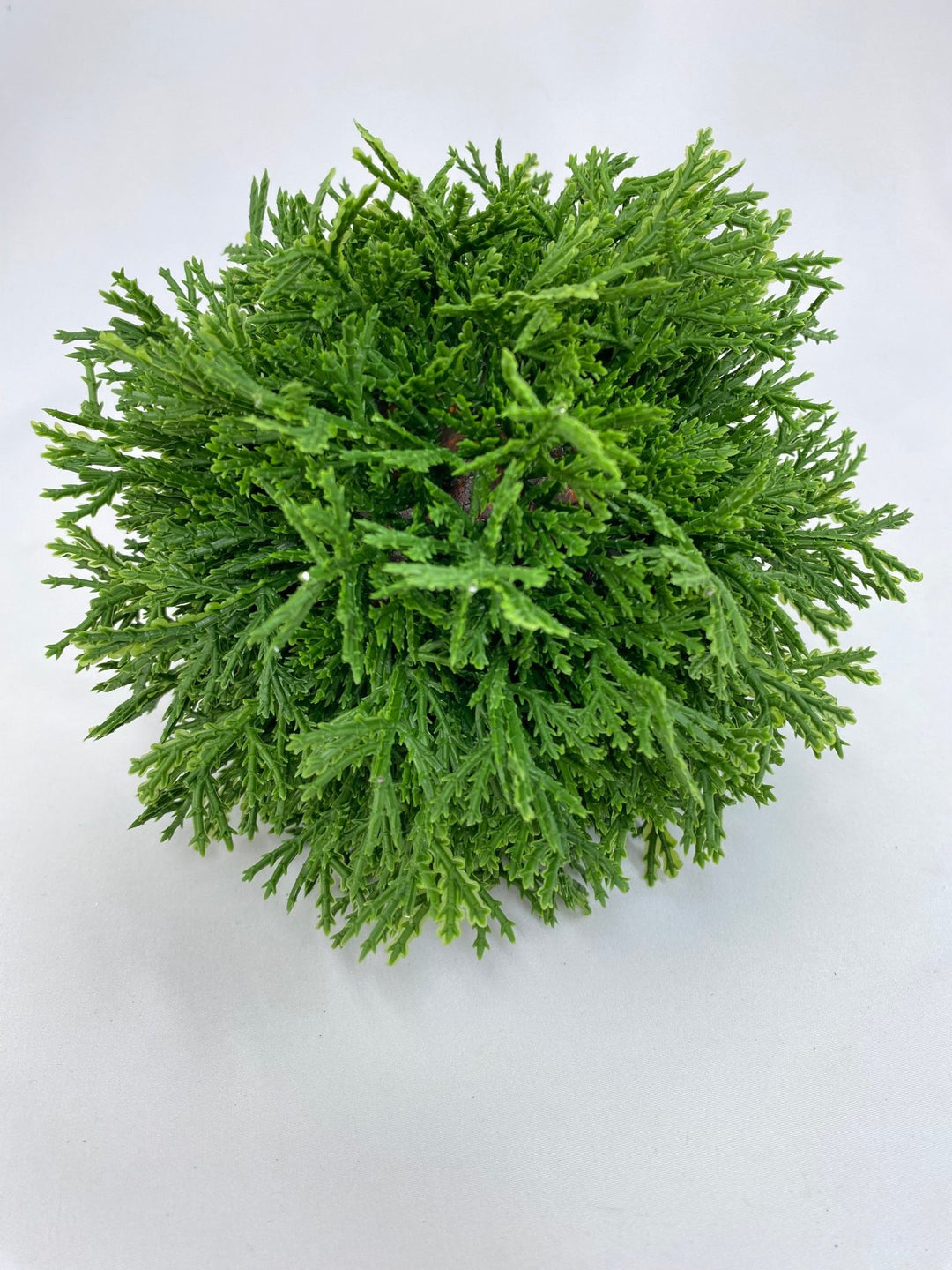 Green Cedar Orb Ball - 7" - Greenery Market2829138GR