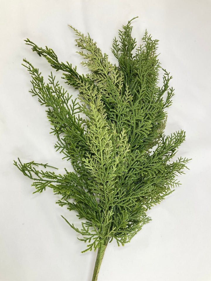 Green Cedar Spray - 24” - Greenery Market2825267GR