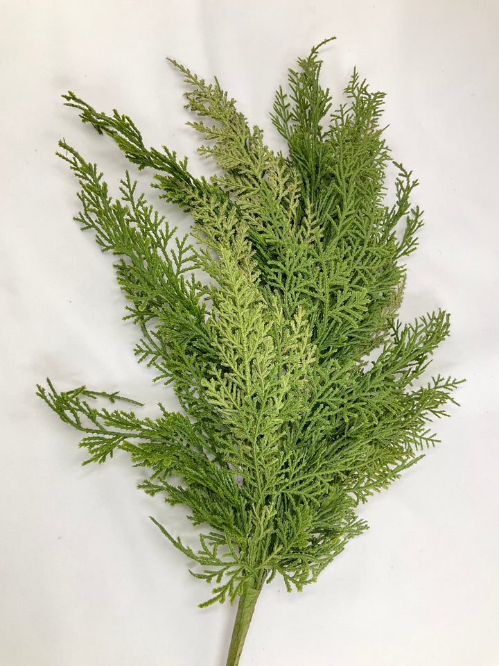 Green Cedar Spray - 24” - Greenery Market2825267GR