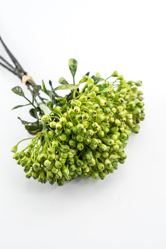 Green, Cottage Berry bundle - Greenery MarketMTF24642 GREEN