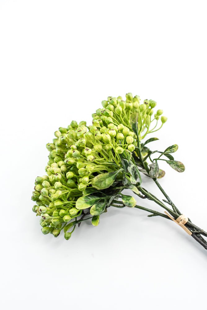 Green, Cottage Berry bundle - Greenery MarketMTF24642 GREEN