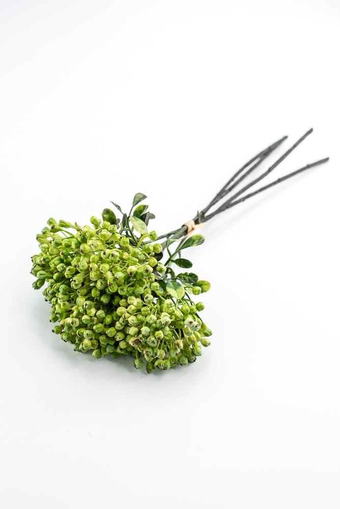 Green, Cottage Berry bundle - Greenery MarketMTF24642 GREEN