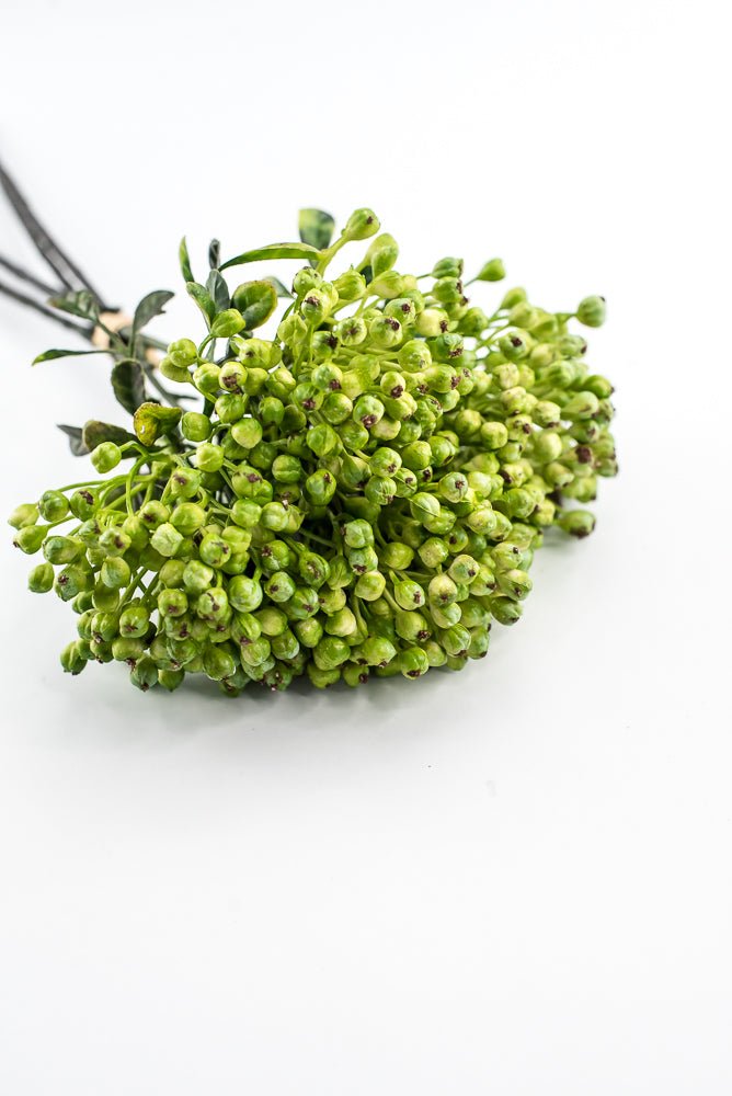 Green, Cottage Berry bundle - Greenery MarketMTF24642 GREEN