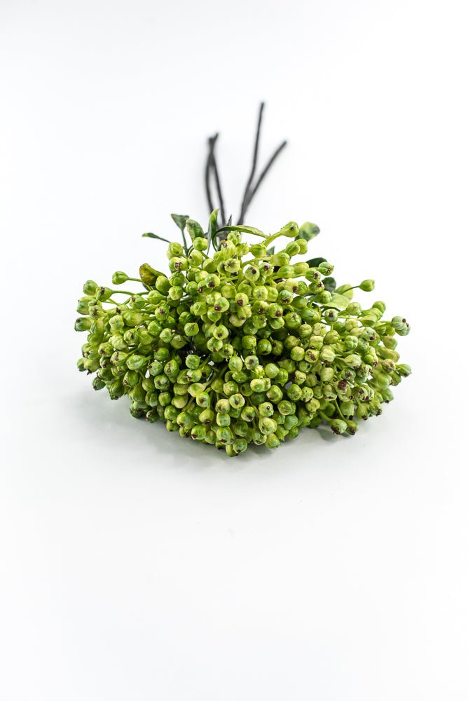 Green, Cottage Berry bundle - Greenery MarketMTF24642 GREEN