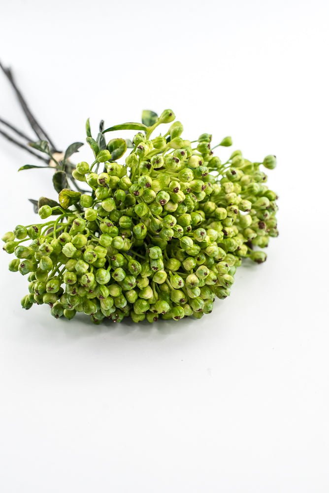 Green, Cottage Berry bundle - Greenery MarketMTF24642 GREEN