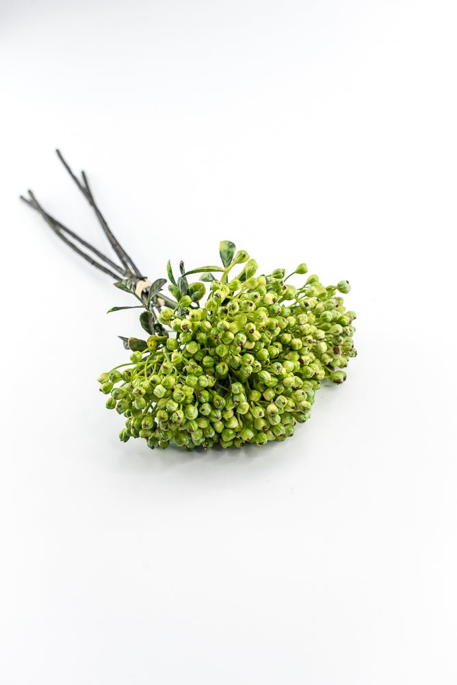 Green, Cottage Berry bundle - Greenery MarketMTF24642 GREEN