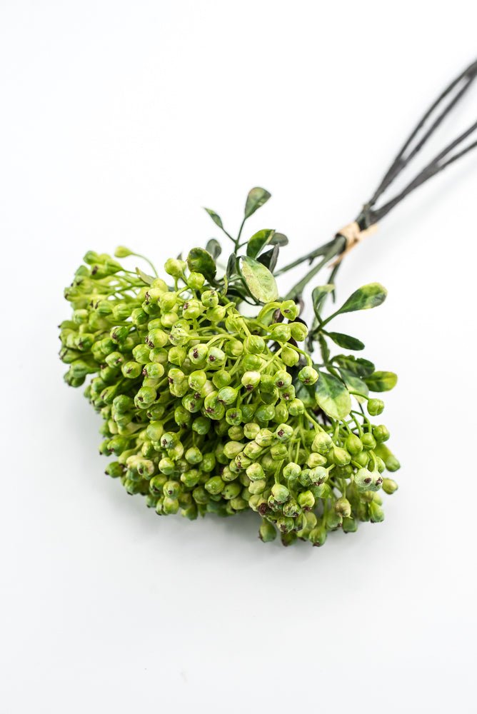 Green, Cottage Berry bundle - Greenery MarketMTF24642 GREEN