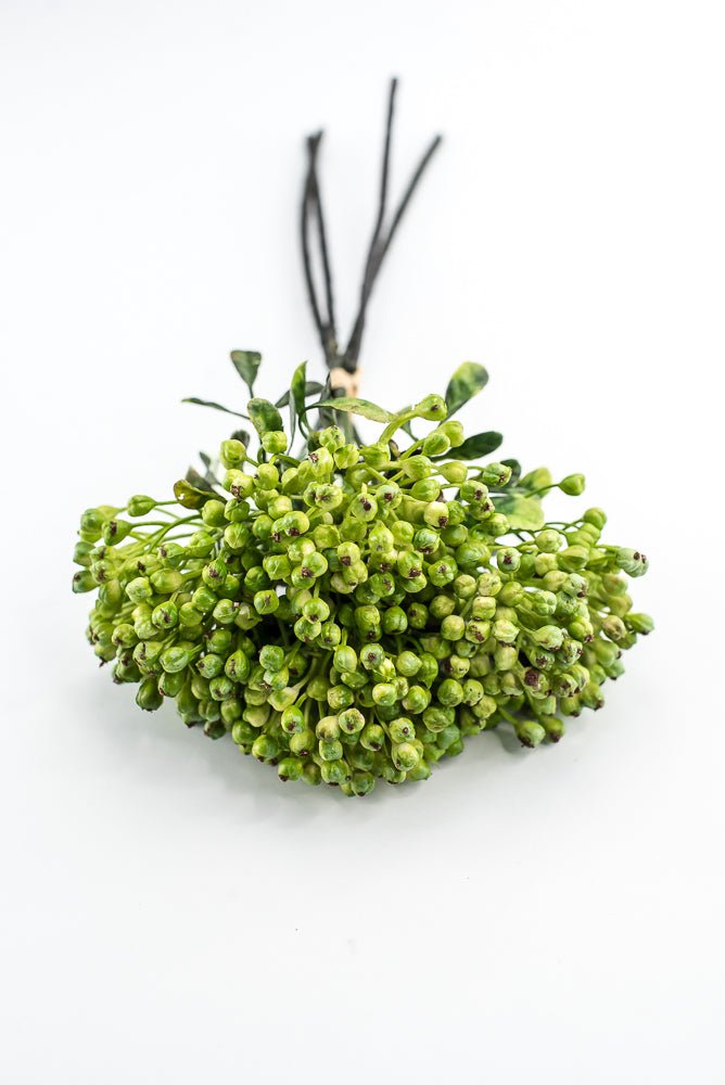 Green, Cottage Berry bundle - Greenery MarketMTF24642 GREEN