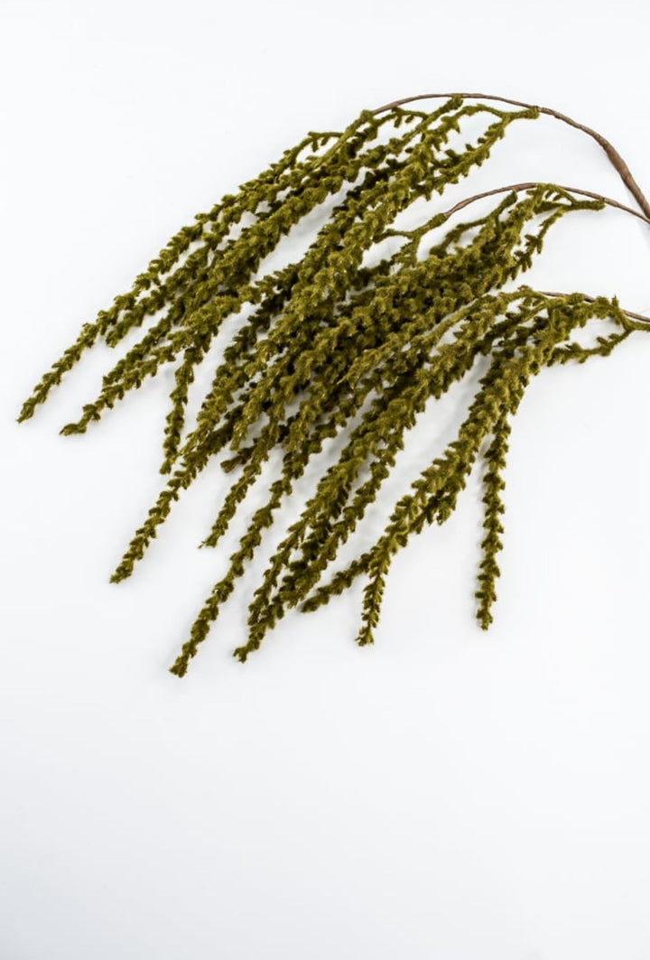 Green Hanging Feather Reed Spray - Greenery Market57273GN