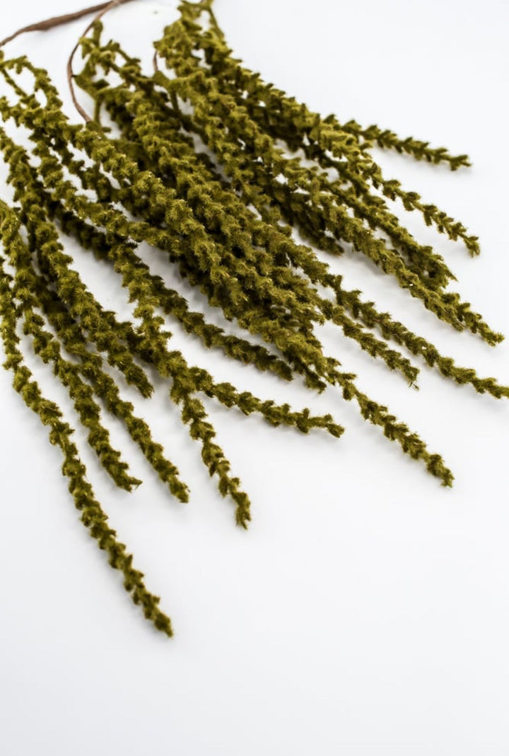 Green Hanging Feather Reed Spray - Greenery Market57273GN