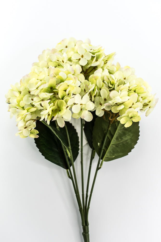 Green Hydrangea Bush - Greenery Market57328GN