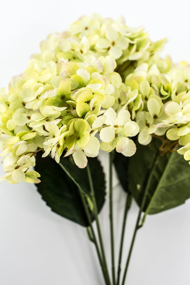 Green Hydrangea Bush - Greenery Market57328GN