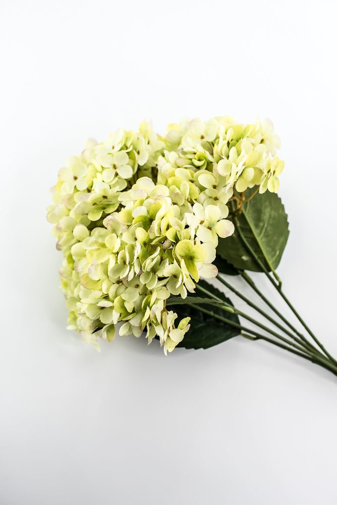 Green Hydrangea Bush - Greenery Market57328GN