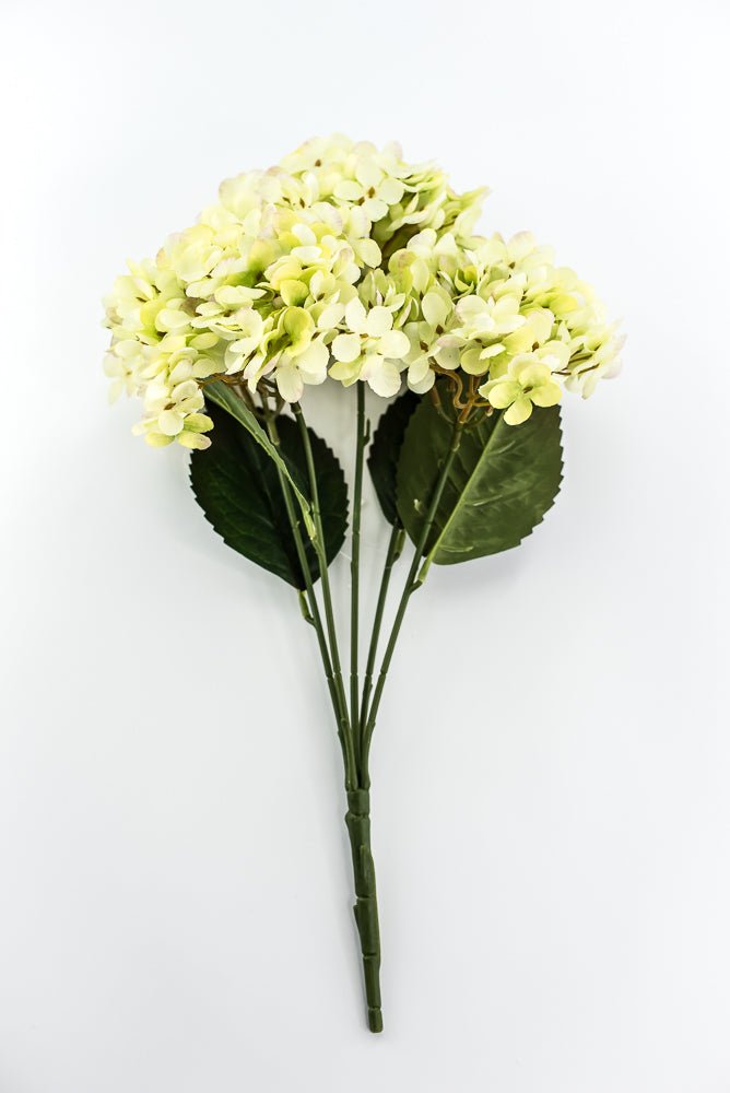 Green Hydrangea Bush - Greenery Market57328GN