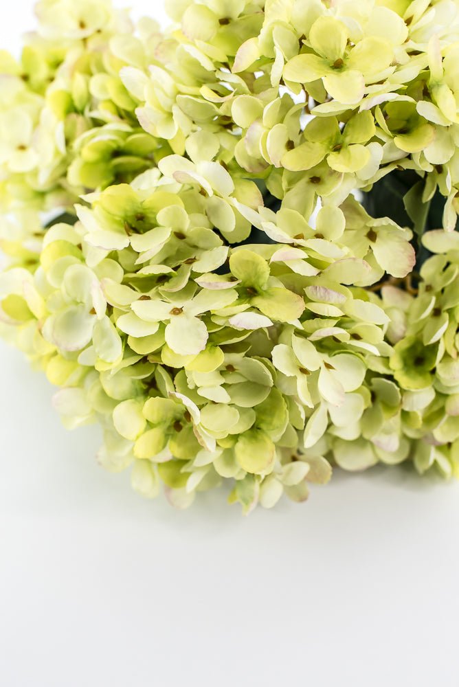 Green Hydrangea Bush - Greenery Market57328GN