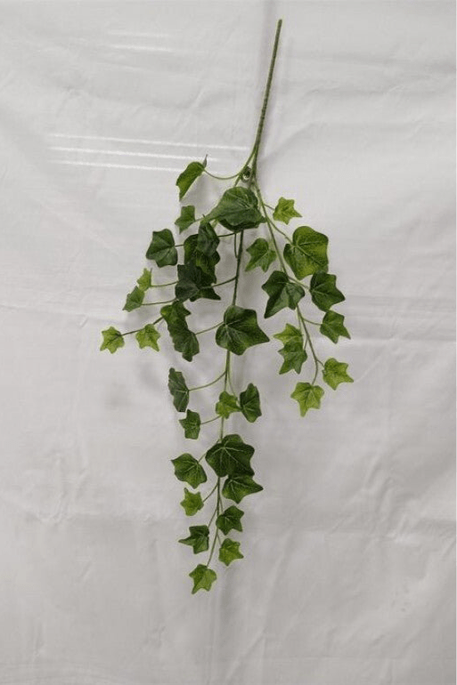 Green Ivy Spray x Bulk 6 Sprays - Greenery MarketMTF24582 TTGR x 6 sprays