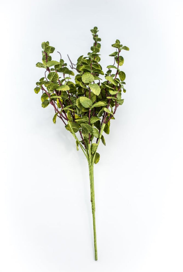 Green Peppermint Leaves Bush - Greenery Market219642